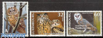 Owls 3v