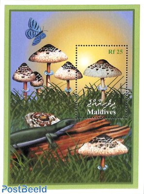 Mushrooms s/s, Leiota pr.