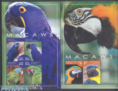 Macaw 2 s/s