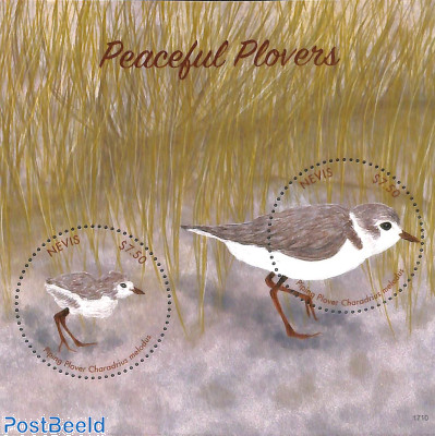 Peaceful Plovers s/s