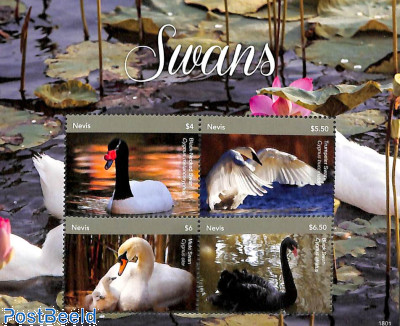 Swans 4v m/s