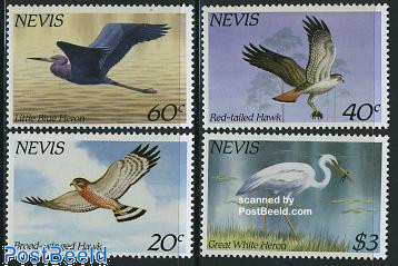Birds 4v