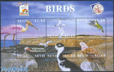 APS Show, birds 6v m/s