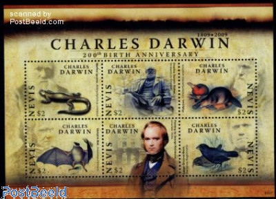 Charles Darwin 6v m/s