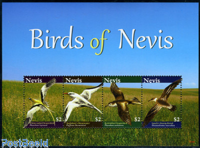 Birds 4v m/s