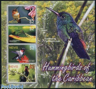 Hummingbirds 4v m/s