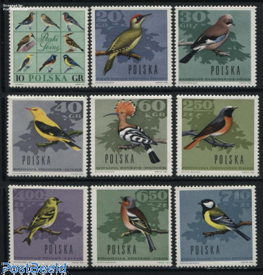 Forest birds 9v