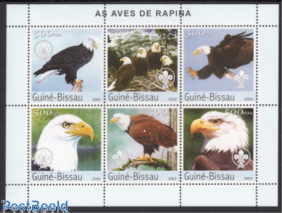 Birds of prey, Scouting 6v m/s