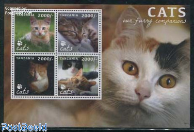Cats 4v m/s