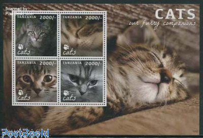 Cats 4v m/s