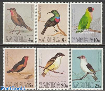 Birds 6v