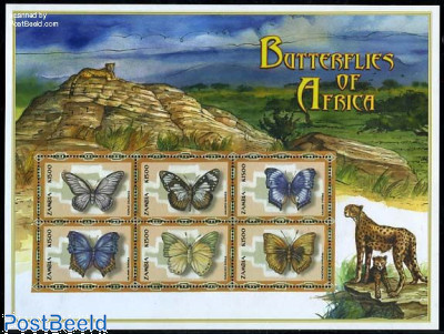 標本 RCA Papilio zalmoxis 132mm s-l400.jpg