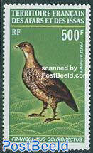 Bird 1v