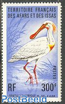 Bird 1v