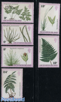 Ferns & Grasses 6v