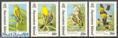Yellow canary 4v