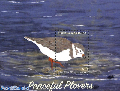 Peaceful Plovers s/s