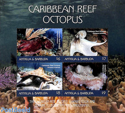 Caribbean Reef Octopus 4v m/s