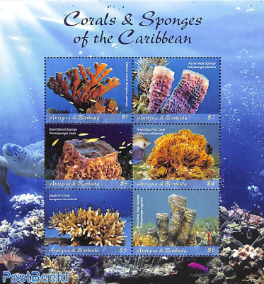 Corals and Sponges 6v m/s