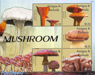 Mushrooms 5v m/s