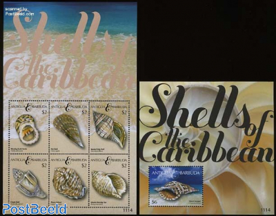Shells 2 s/s