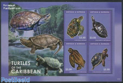 Turtles of the Caribbean 4v m/s