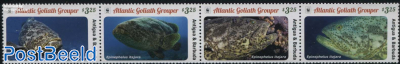 WWF, Atlantic Goliath Grouper 4v [:::]