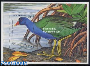 Birds s/s, Purple Gallinule