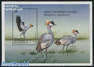 Crowned crane s/s