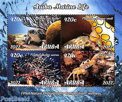 Marine life, Arikok 4v m/s