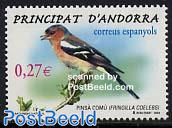 Bird 1v, Pinsa Comu