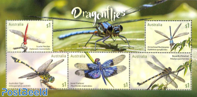 Dragonflies s/s