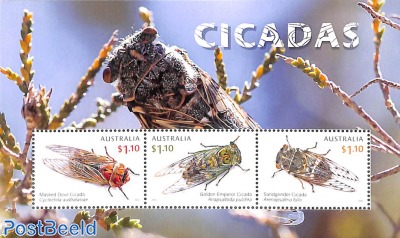 Cicadas s/s