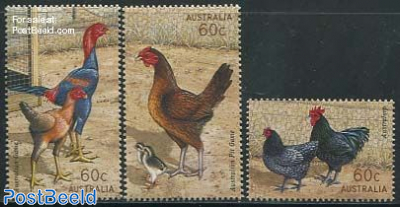 Poultry breeds 3v