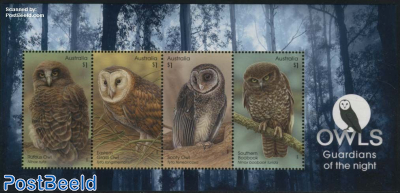 Owls s/s