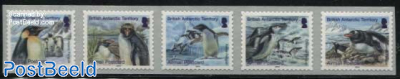 Penguins 5v s-a