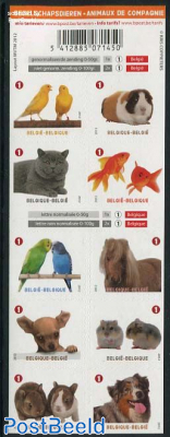 Companion domestic animals 10v s-a foil sheet