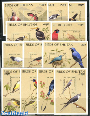 Birds 12 s/s