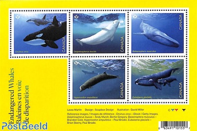 Endangered whales 5v m/s