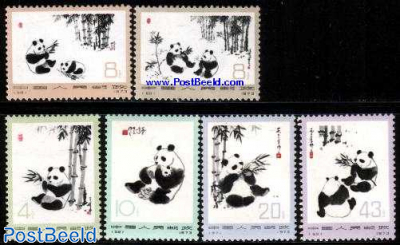 Panda bears 6v