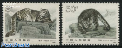 Snow leopard 2v
