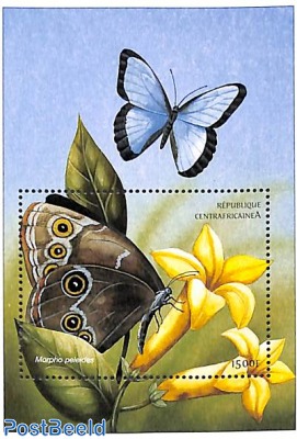 Butterfly, Morpho peleidis s/s