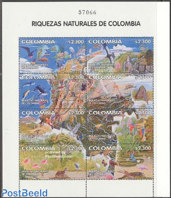 Nature of Colombia 8v m/s