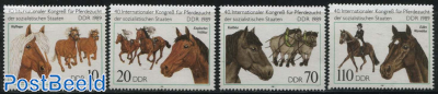 Horses 4v