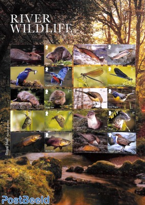 River wildlife collectors sheet s-a