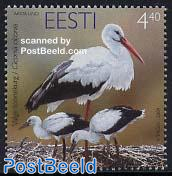 White Stork 1v
