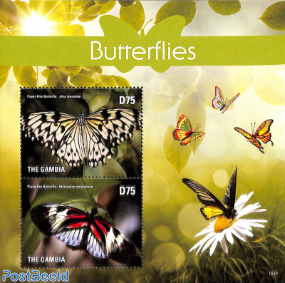 Butterflies 2v m/s