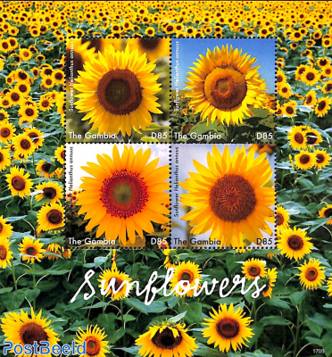 Sunflowers 4v m/s