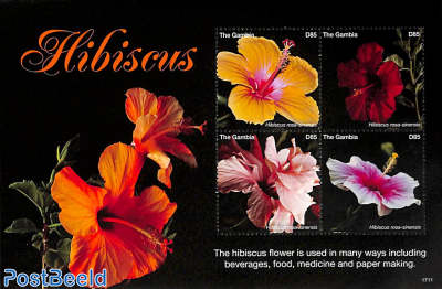 Hibiscus flowers 4v m/s