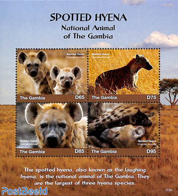 Spotted Hyena 4v m/s
